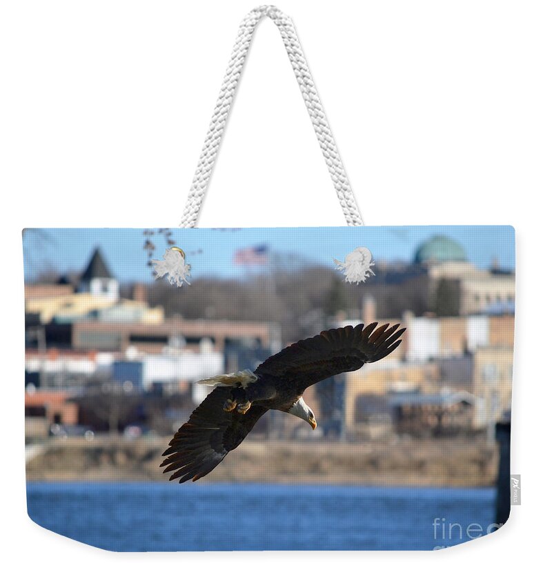 Color Photography Weekender Tote Bag featuring the photograph Bald Eagle In Town by Sue Stefanowicz