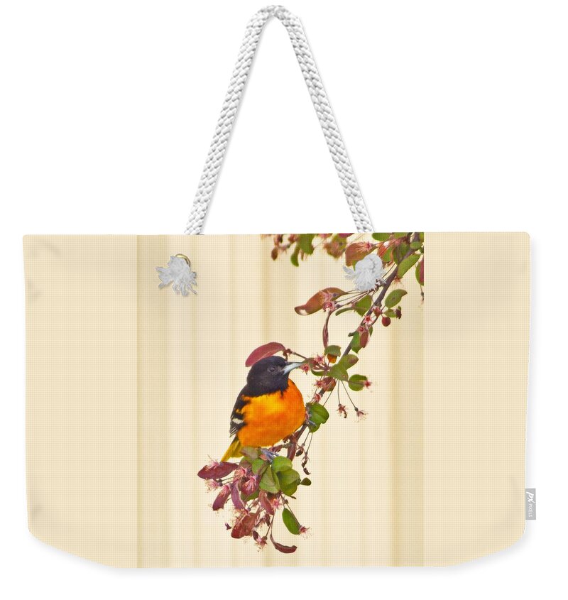 Baltimore Oriole Weekender Tote Bag featuring the photograph Baltimore Oriole by Suanne Forster