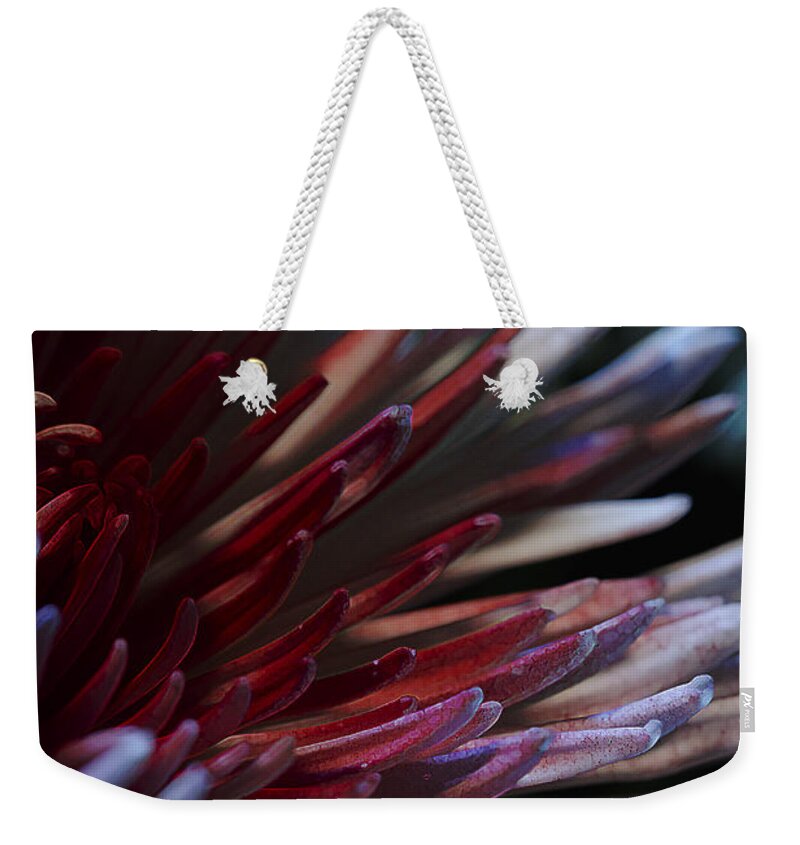 Red Weekender Tote Bag featuring the photograph Bawdy Sanguine by Bill and Linda Tiepelman
