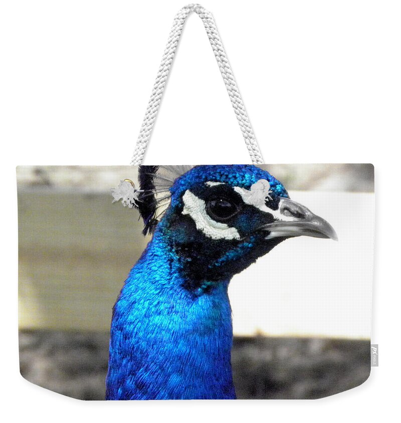 Peacock Weekender Tote Bag featuring the photograph Beautiful blues by Kim Galluzzo