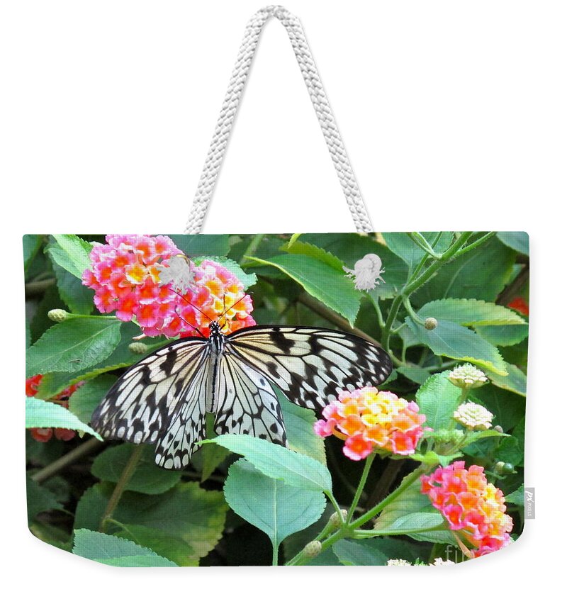 Butterfly Weekender Tote Bag featuring the photograph Beautiful Butterfly and Flowers by Phyllis Kaltenbach