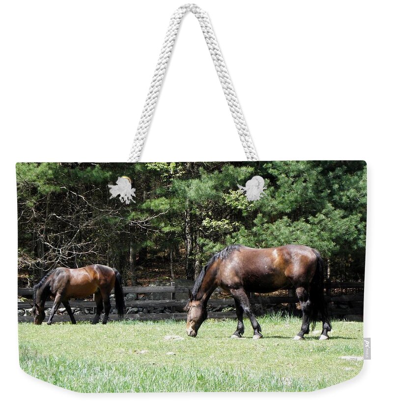 Horse Photography Weekender Tote Bag featuring the photograph Beautiful Geldings Grazing by Kim Galluzzo