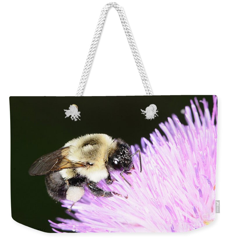 Bee Weekender Tote Bag featuring the photograph Bee on Flower by Paul Ward