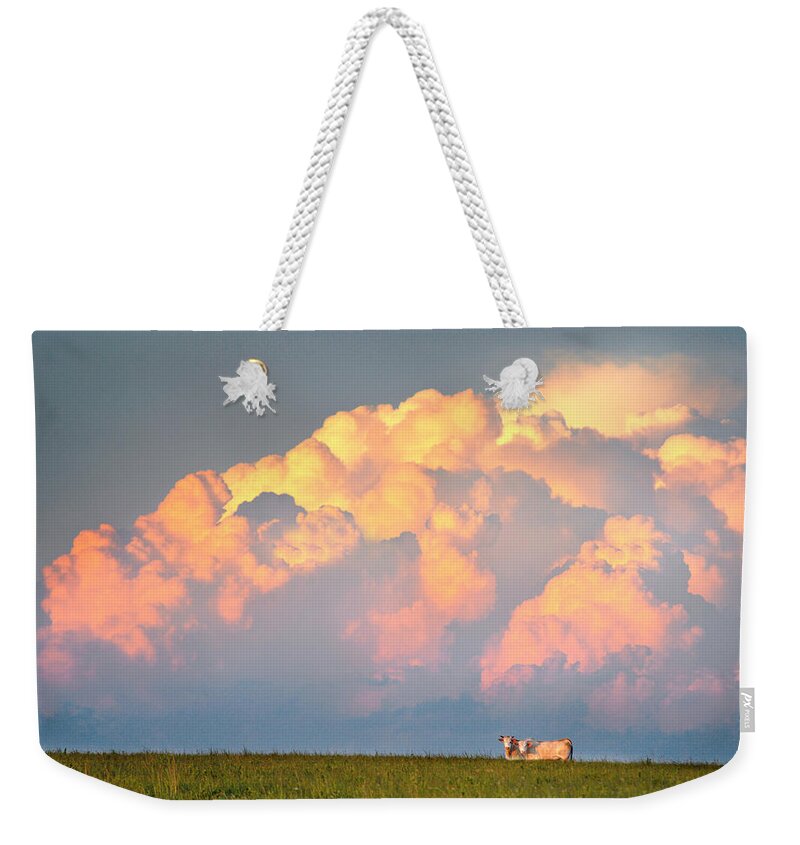 Cows Weekender Tote Bag featuring the photograph Beefy Thunder by Brian Duram