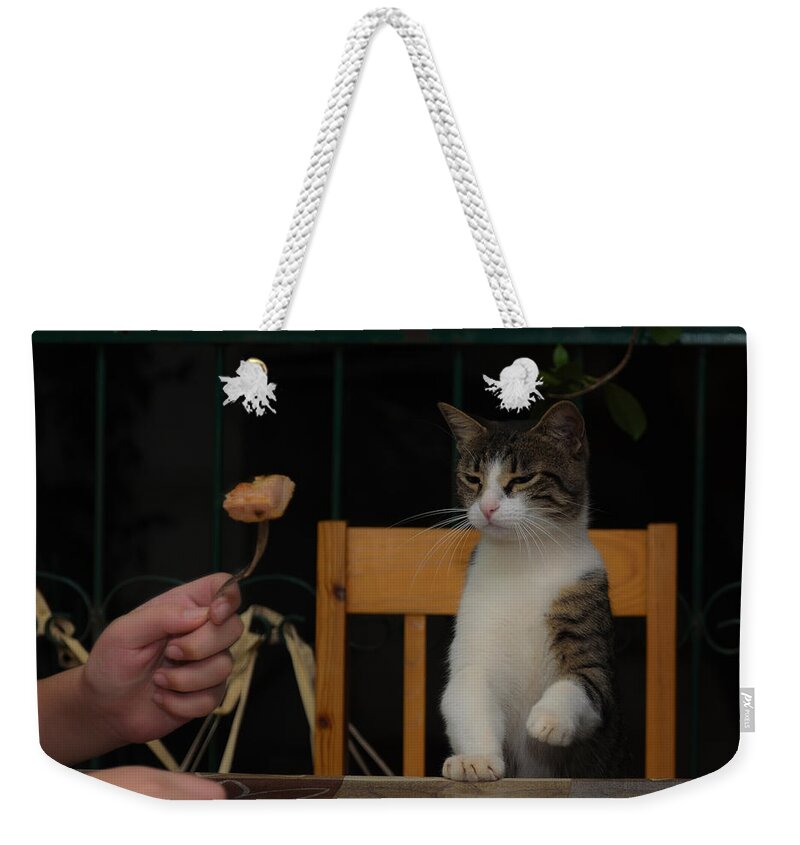 Cat Weekender Tote Bag featuring the photograph Before the attack by Michael Goyberg