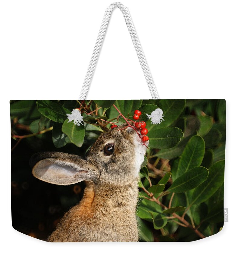 Rabbit Weekender Tote Bag featuring the photograph Berry Bunny by Ernest Echols