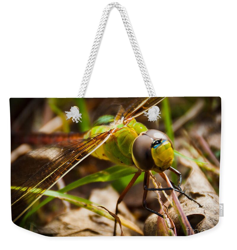 Dragonfly Weekender Tote Bag featuring the photograph Big Brown Eyes by Cheryl Baxter