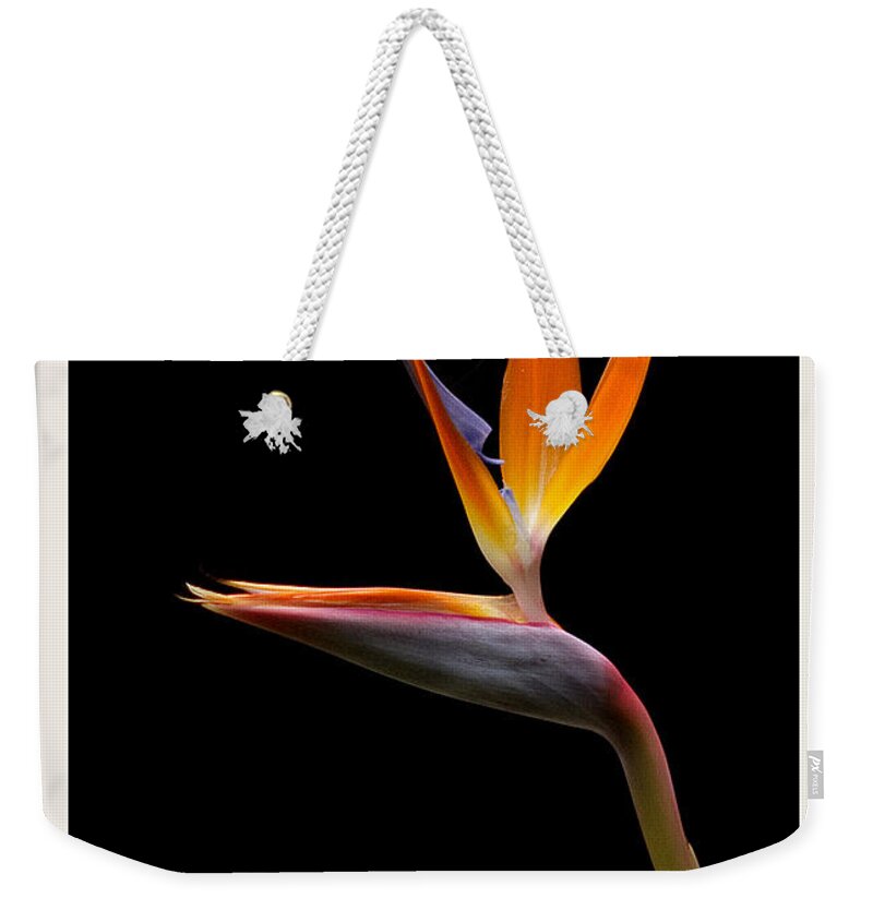Flower Weekender Tote Bag featuring the photograph Bird of Paradise by Farol Tomson
