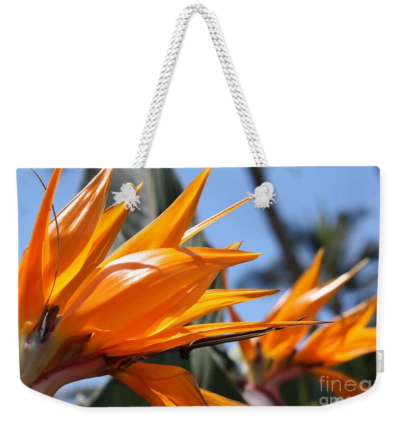 Wildflowers Weekender Tote Bag featuring the photograph Bird of Paradise Flowers by Teresa Zieba