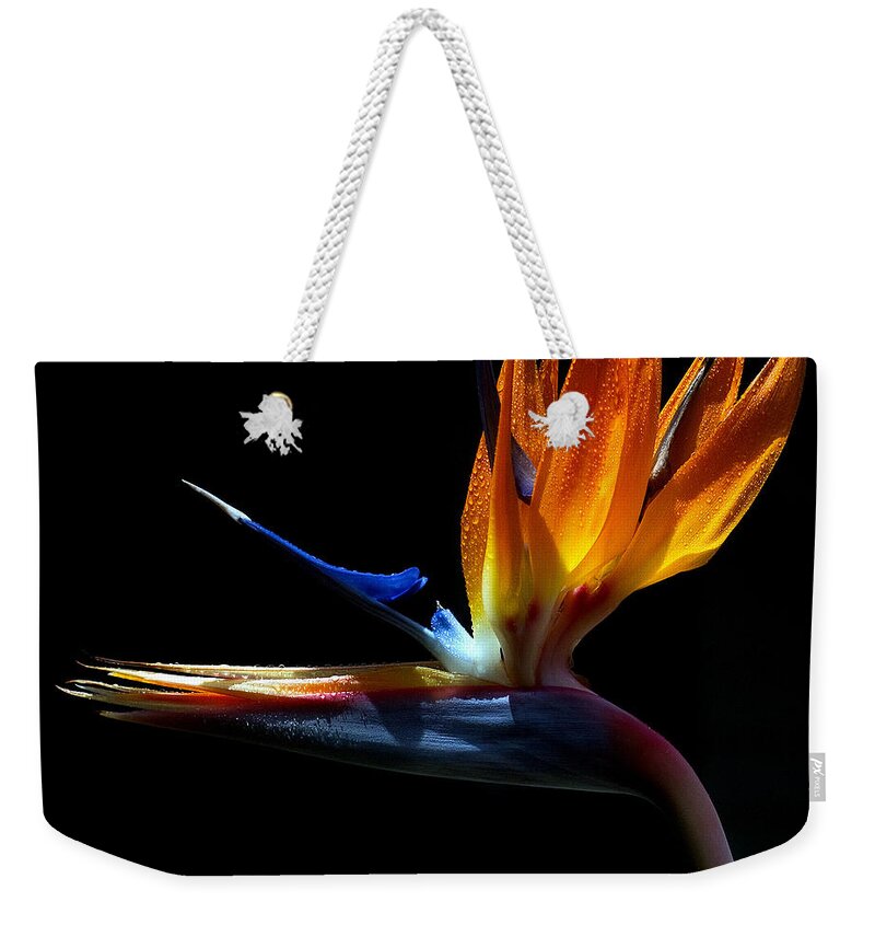 Bird Weekender Tote Bag featuring the photograph Bird of Paradise Two Days Later by Farol Tomson