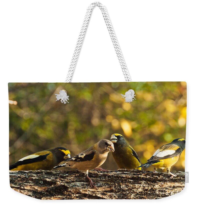 Grosbeaks Weekender Tote Bag featuring the photograph Birds of Yellow by Cheryl Baxter