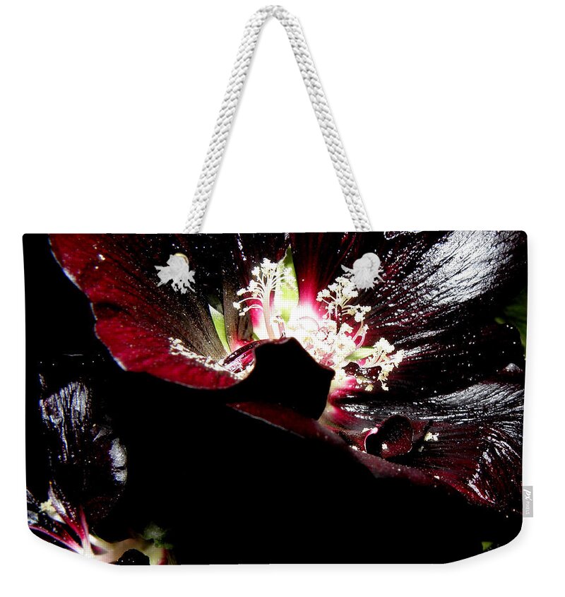Black Hollyhock Weekender Tote Bag featuring the photograph Black is Beautiful by Kim Galluzzo
