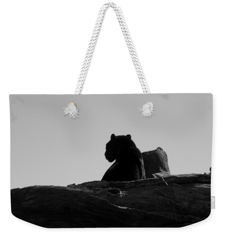 Black Weekender Tote Bag featuring the photograph Black Jaguar by Kim Galluzzo Wozniak