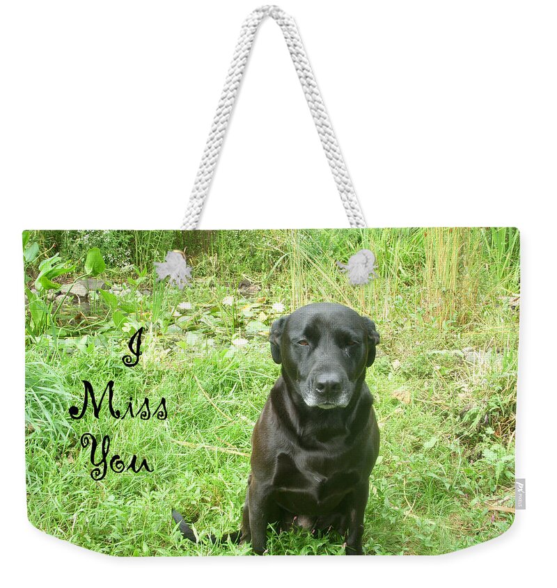 Dog Weekender Tote Bag featuring the photograph Black lab Miss You by Aimee L Maher ALM GALLERY