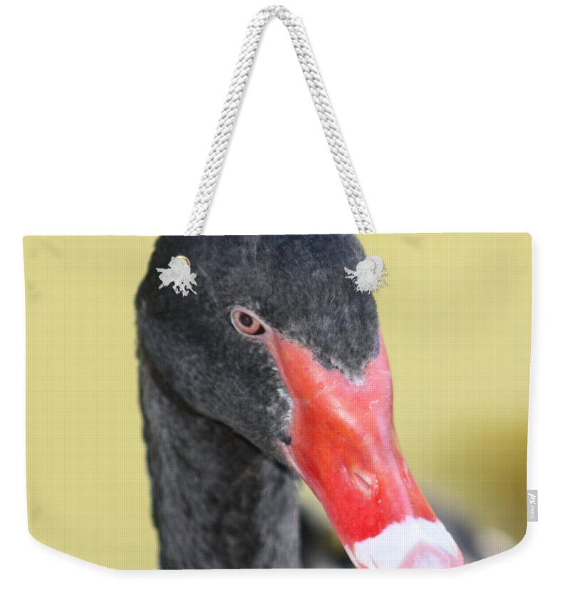 Black Weekender Tote Bag featuring the photograph Black Swan by Kim Galluzzo Wozniak