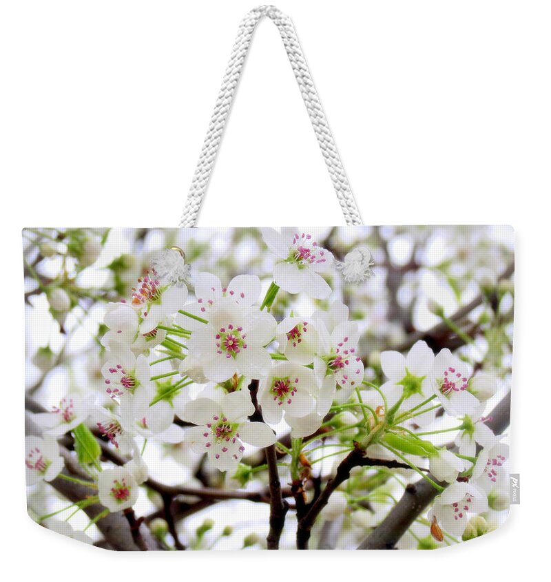 Blossoms Weekender Tote Bag featuring the photograph Blooming Ornamental Tree by Kay Novy