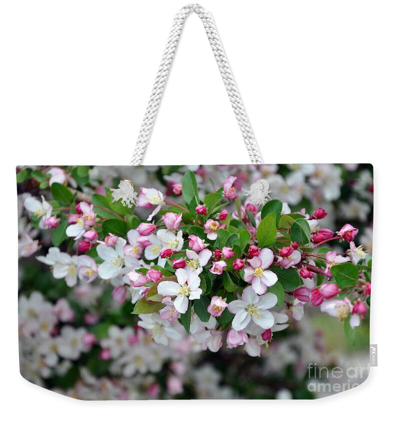 Blossoms Weekender Tote Bag featuring the photograph Blossoms on Blossoms by Dorrene BrownButterfield