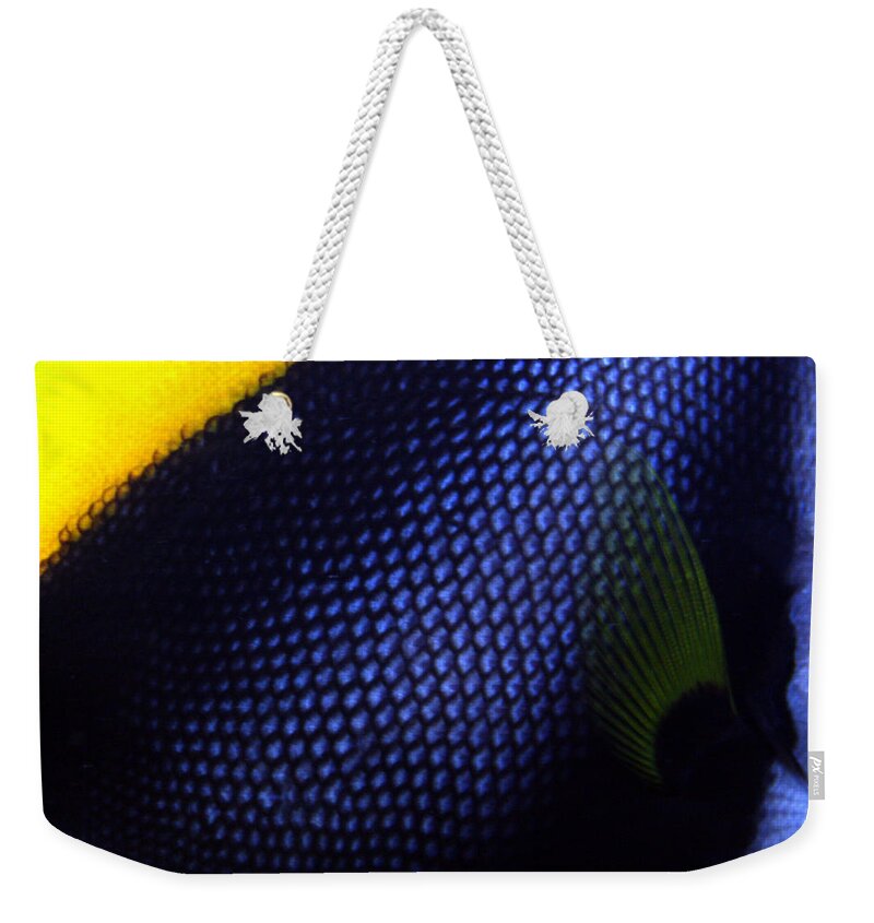 Waikiki Aquarium Weekender Tote Bag featuring the photograph Blue and Yellow Scales by Jennifer Bright Burr