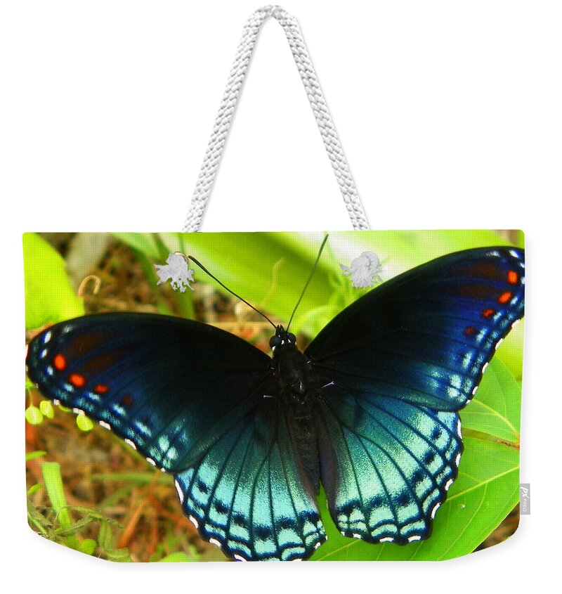 Butterfly. Butterfly Print Weekender Tote Bag featuring the photograph Blue Butterfly I by Sheri McLeroy