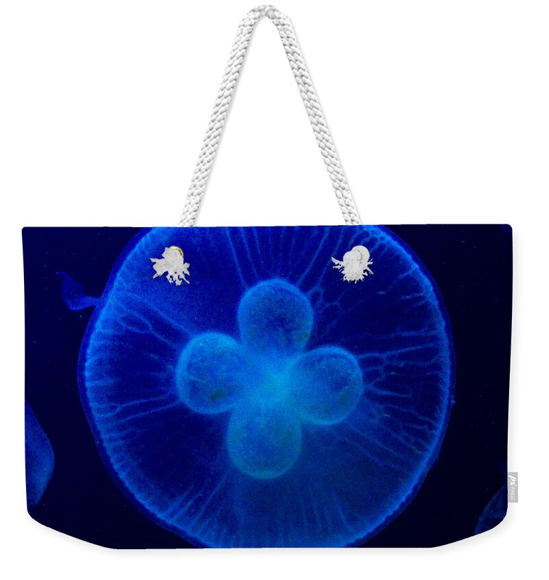 Jellyfish Weekender Tote Bag featuring the photograph Blue Moon by Carrie Cranwill