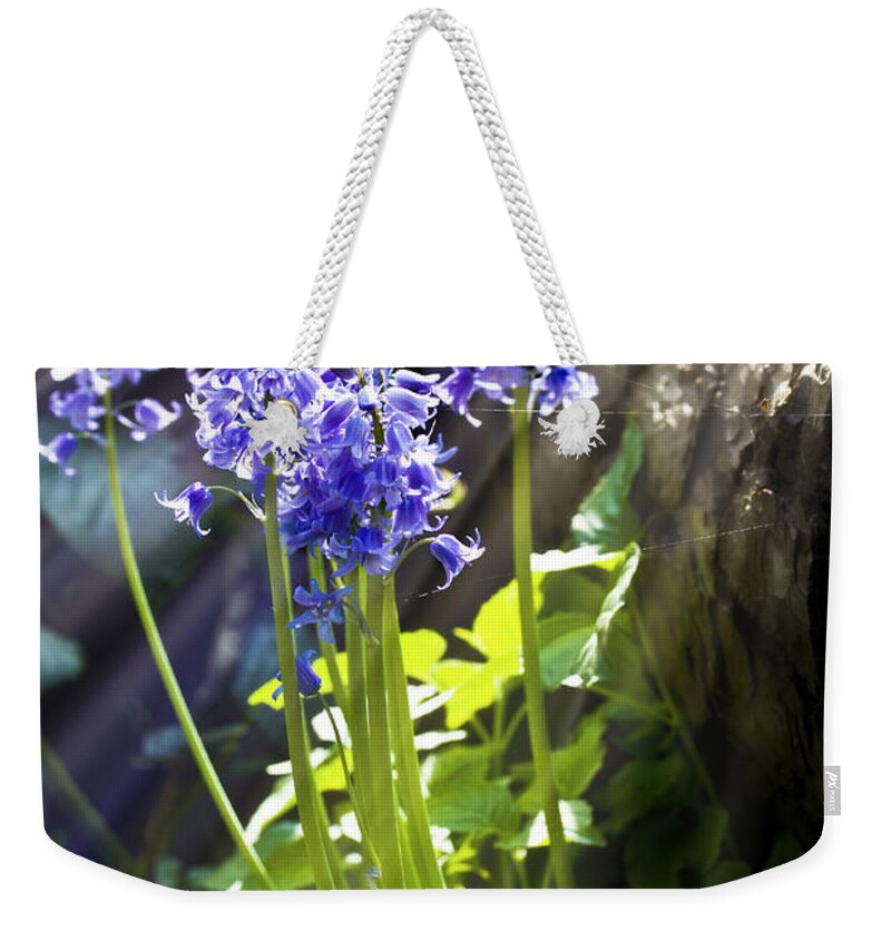Wild Flowers Weekender Tote Bag featuring the photograph Bluebells in the woods by Simon Bratt
