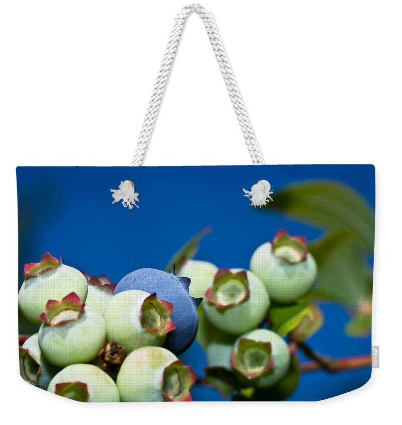 Macro Weekender Tote Bag featuring the photograph Blueberries and Sky by Lori Coleman