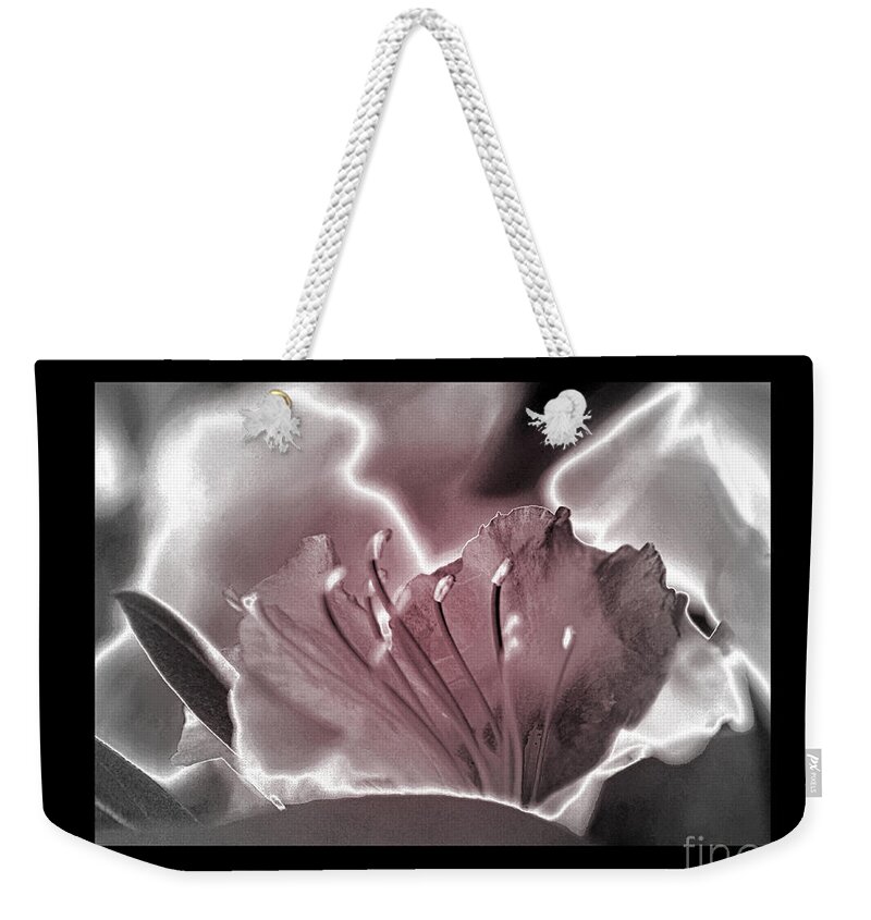 Color Photography Weekender Tote Bag featuring the photograph Blush by Sue Stefanowicz