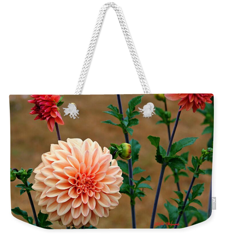 Dahlia Weekender Tote Bag featuring the photograph Bodaciously Orange by Jeanette C Landstrom
