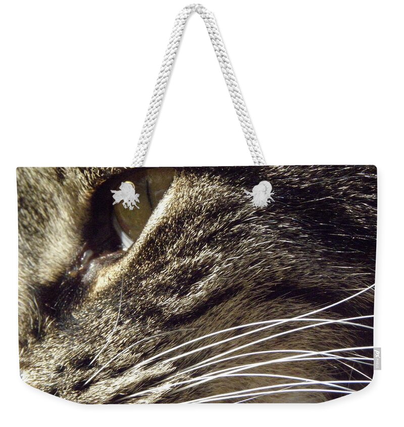 Feline Weekender Tote Bag featuring the photograph BoSox profile by Kim Galluzzo Wozniak