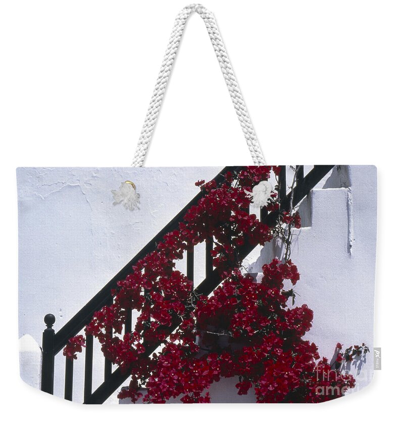Nature Weekender Tote Bag featuring the photograph Bougainvillea by Heiko Koehrer-Wagner