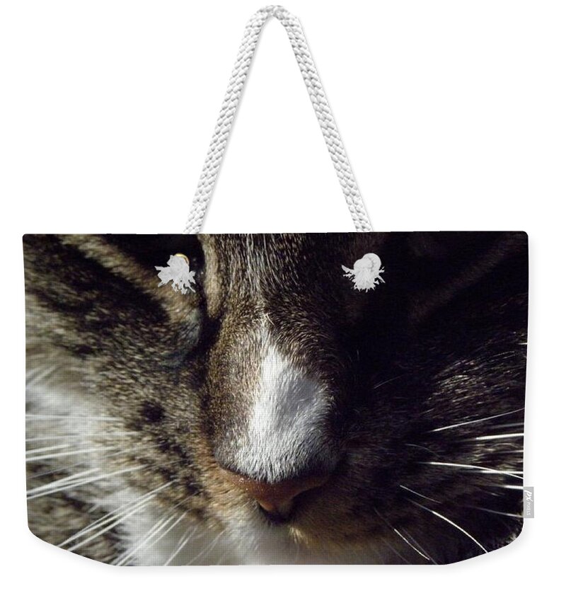 Bow Weekender Tote Bag featuring the photograph Bow Down by Kim Galluzzo