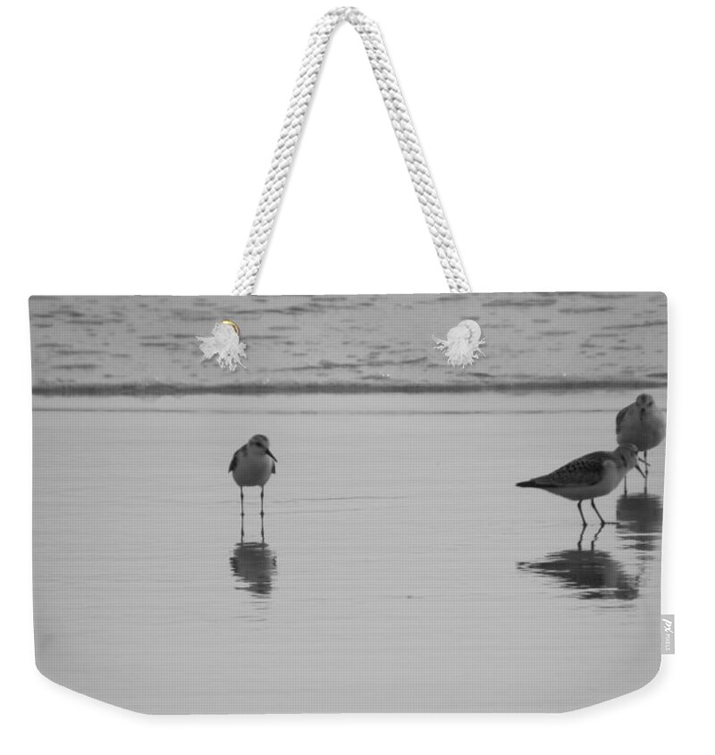 Sea Weekender Tote Bag featuring the photograph Breakfast Time by Kim Galluzzo
