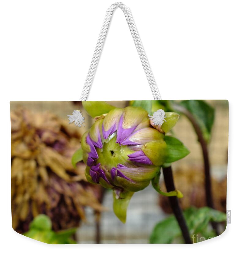 Flores Weekender Tote Bag featuring the photograph Bright Morning by Yenni Harrison