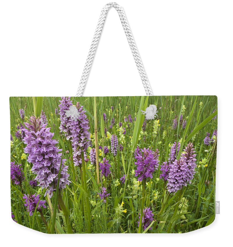 Nis Weekender Tote Bag featuring the photograph Broad-leaved Marsh Orchid Dactylorhiza by Jan Vink