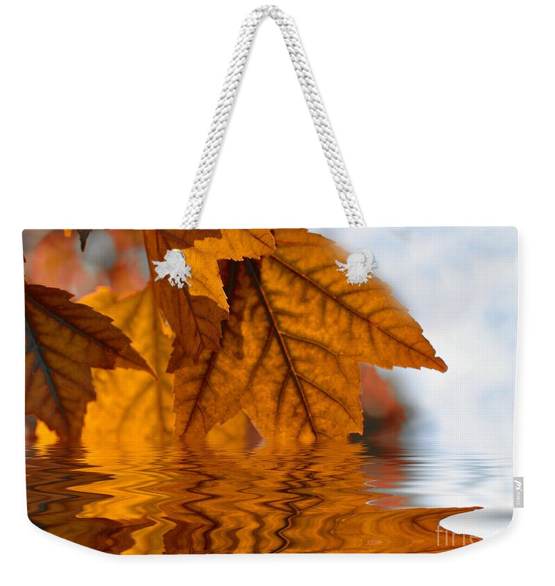 Autumn Weekender Tote Bag featuring the photograph Bronze Reflections in Autumn by Elaine Manley