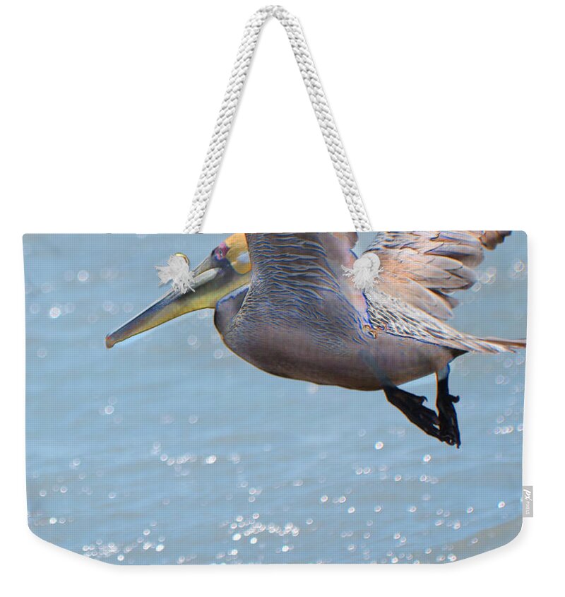 Brown Pelican Weekender Tote Bag featuring the photograph Brown Pelican by Betty LaRue