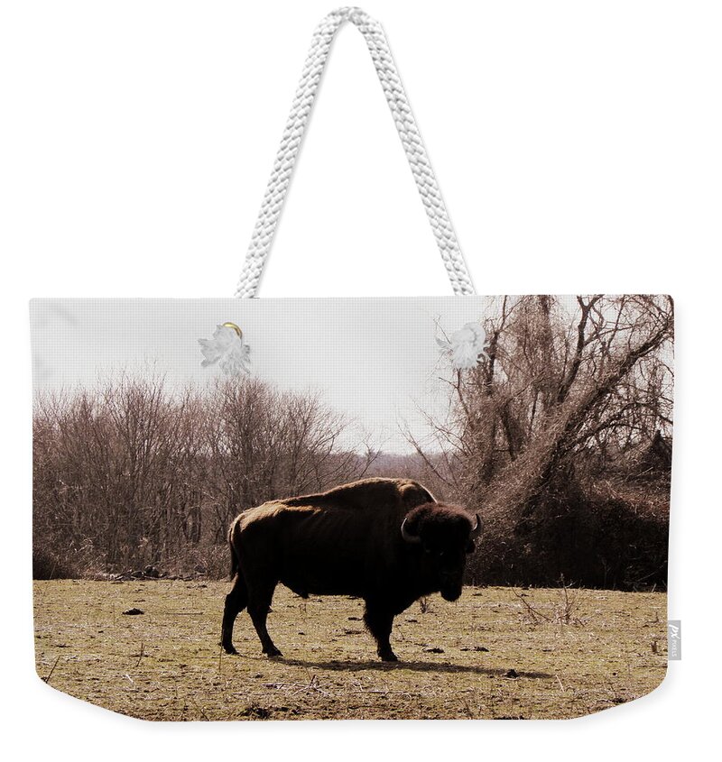 Bull Weekender Tote Bag featuring the photograph Bull by Kim Galluzzo