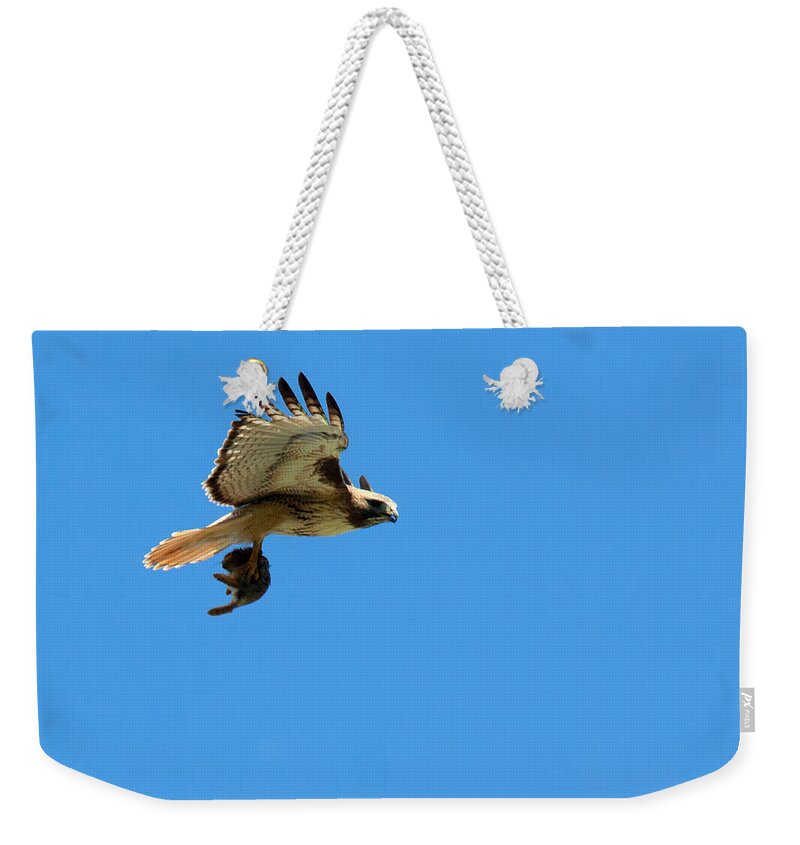 Hawk Photograph Weekender Tote Bag featuring the photograph Bunny on Board by Jim Garrison