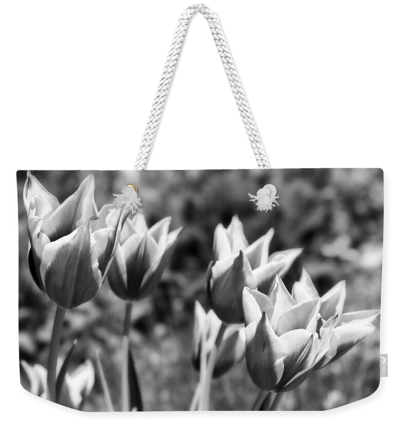 Botanical Weekender Tote Bag featuring the photograph Burgundy Yellow Tulips in Black and White by James BO Insogna