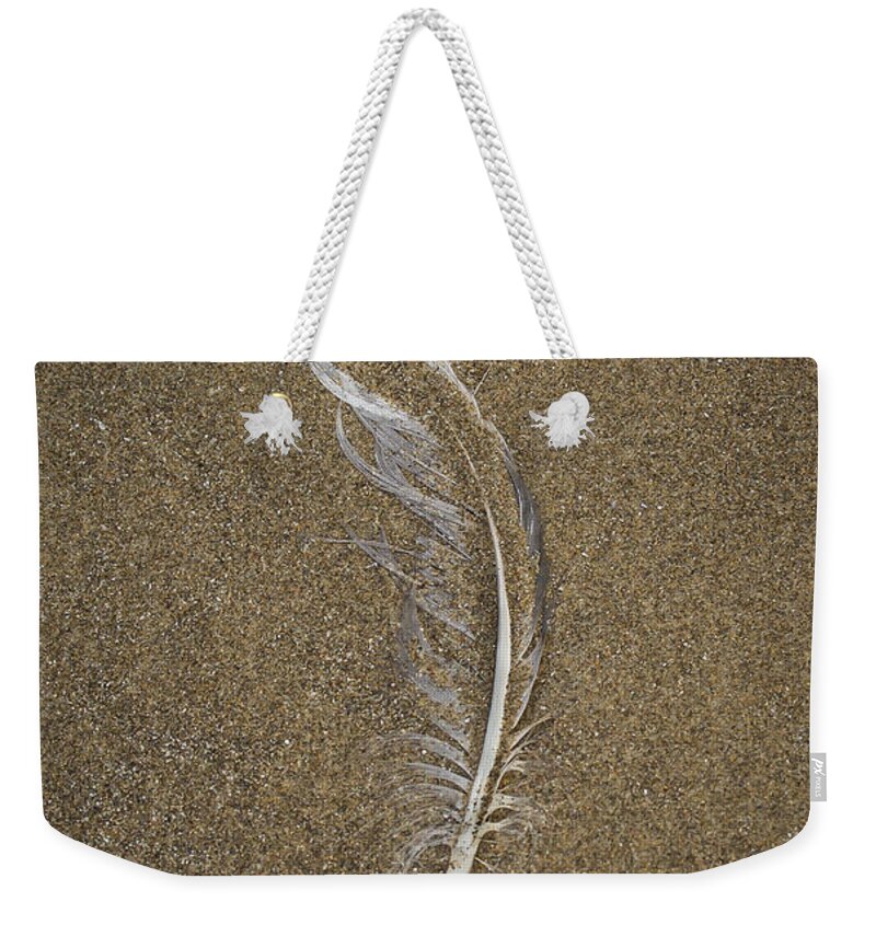 Coast Weekender Tote Bag featuring the photograph Buried Feather by Jean Noren