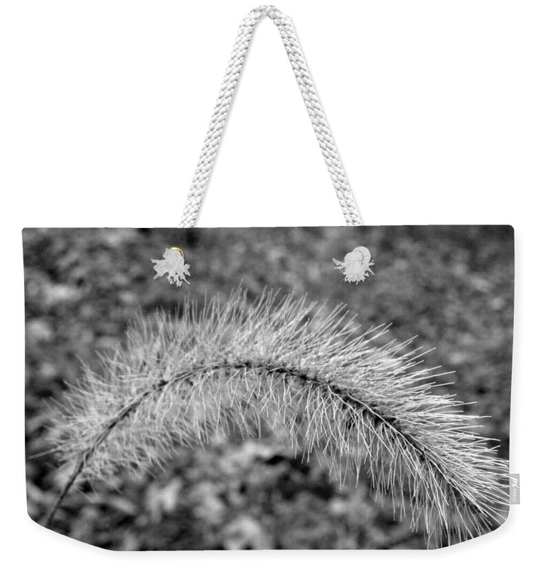 Fuzzy Weekender Tote Bag featuring the photograph Burst In The Woods by Kim Galluzzo Wozniak