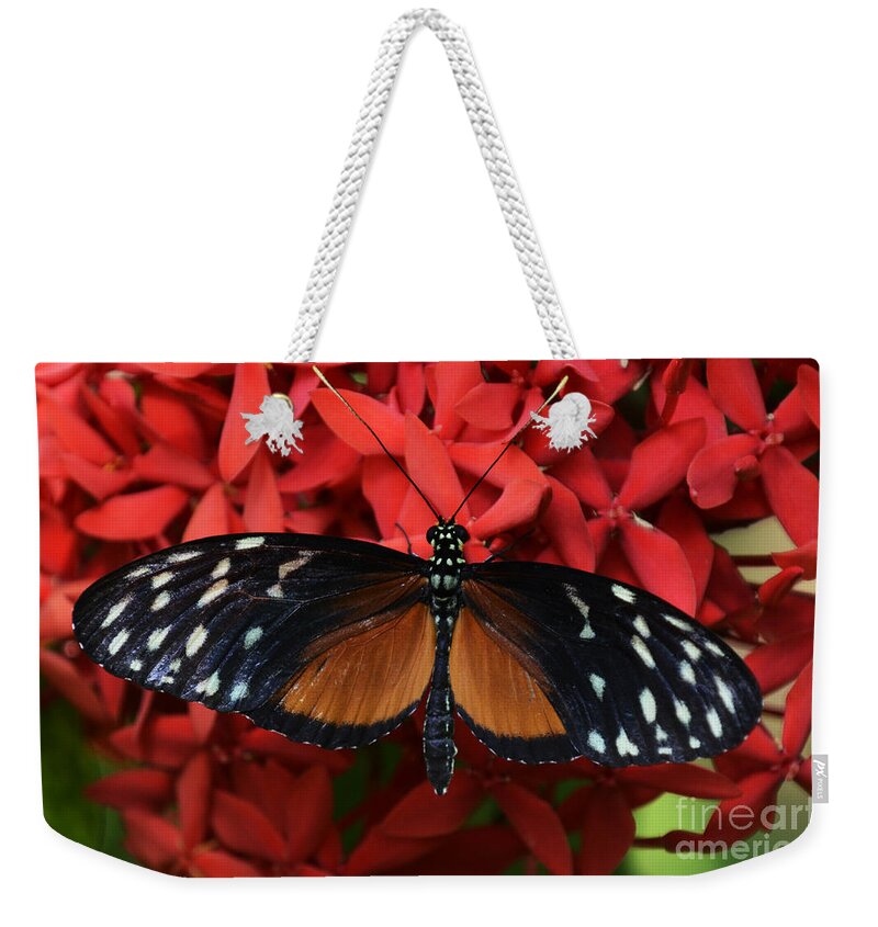 Butterfly Weekender Tote Bag featuring the photograph Butterfly 1 by Bob Christopher
