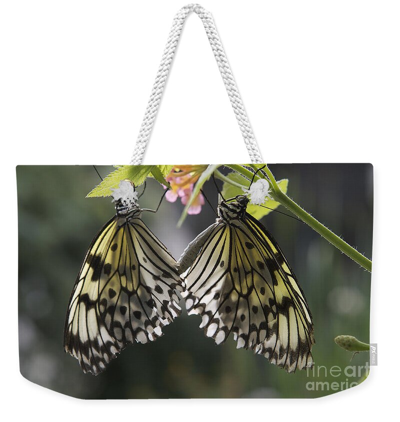 Butterflies Weekender Tote Bag featuring the photograph Butterfly duo by Eunice Gibb