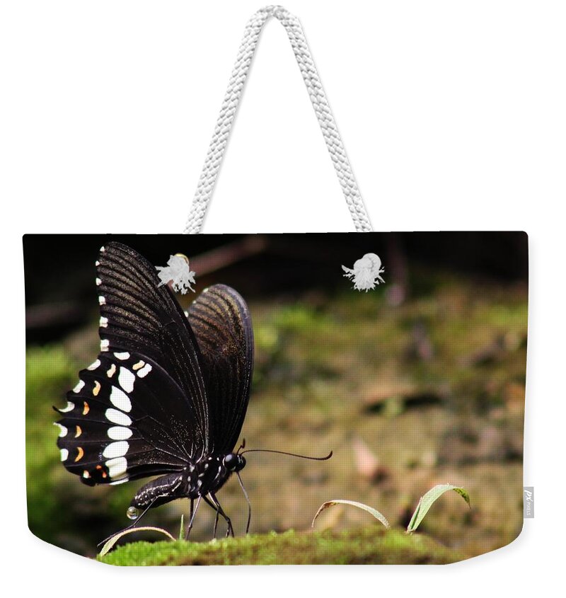 Butterfly Weekender Tote Bag featuring the photograph Butterfly Feeding by Ramabhadran Thirupattur