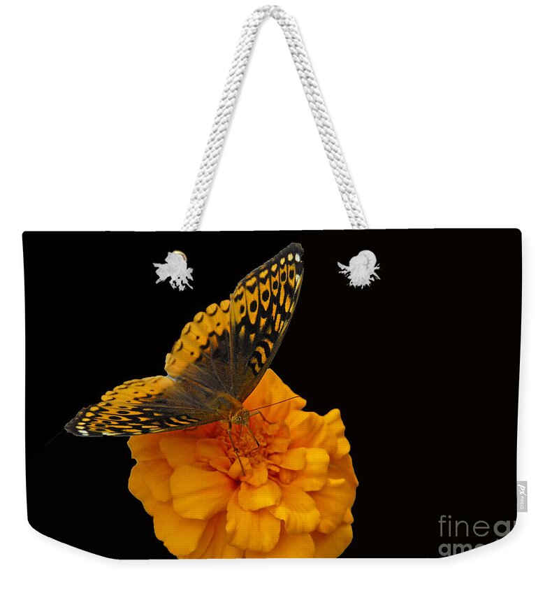 Butterfly Weekender Tote Bag featuring the photograph Butterfly visitor by Cindy Manero