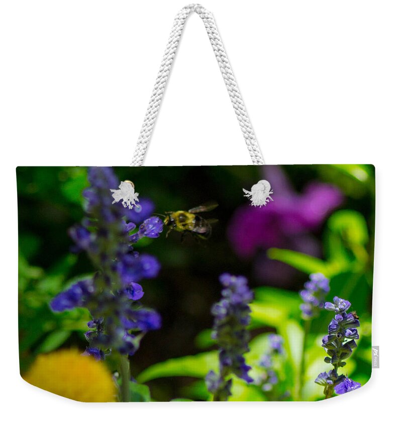 Bumble Bee Weekender Tote Bag featuring the photograph Buzzing Around by Shannon Harrington