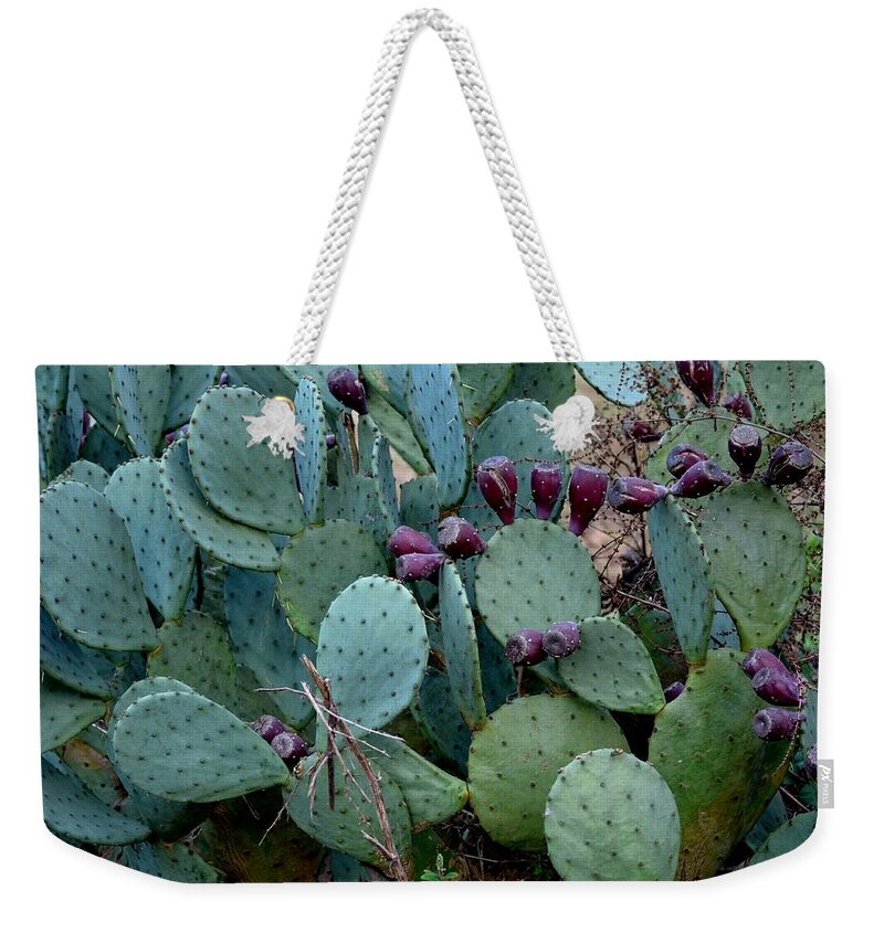 Cactus Weekender Tote Bag featuring the photograph Cactus Plants by Maria Urso