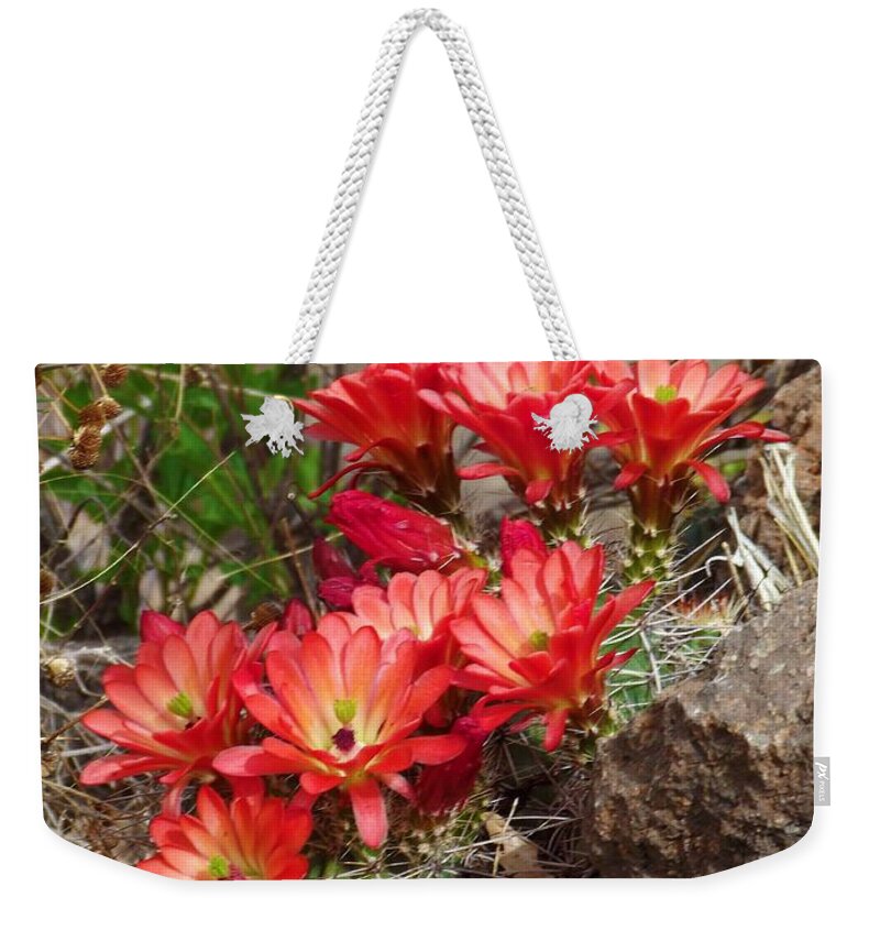 Cactus Weekender Tote Bag featuring the photograph Cactus With Coral Flowers by Megan Ford-Miller