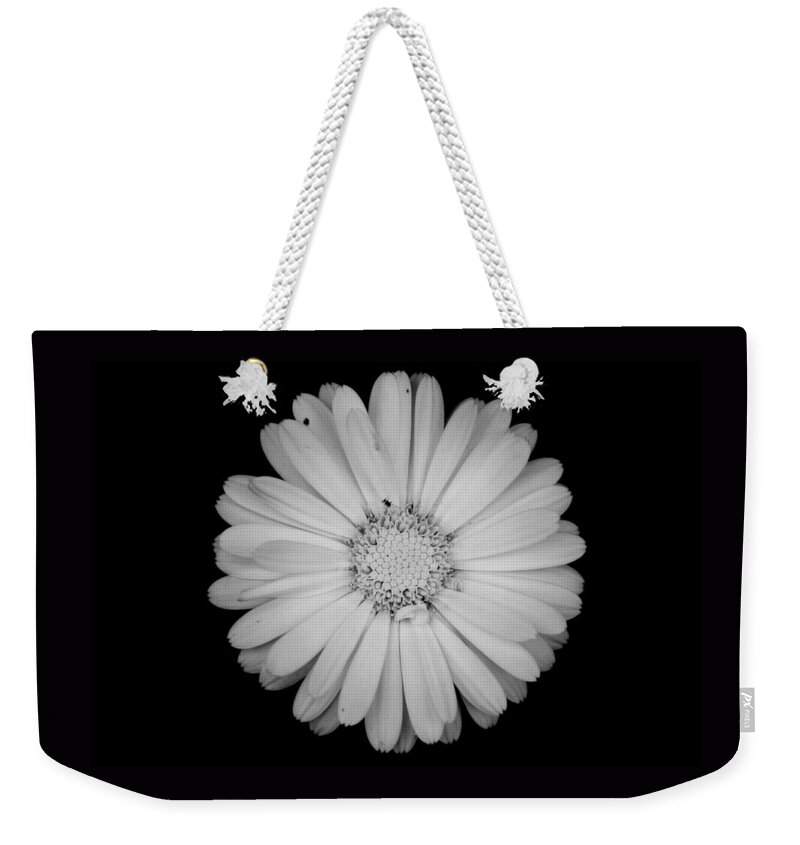 Calendula Weekender Tote Bag featuring the photograph Calendula flower - Black and white by Laura Melis