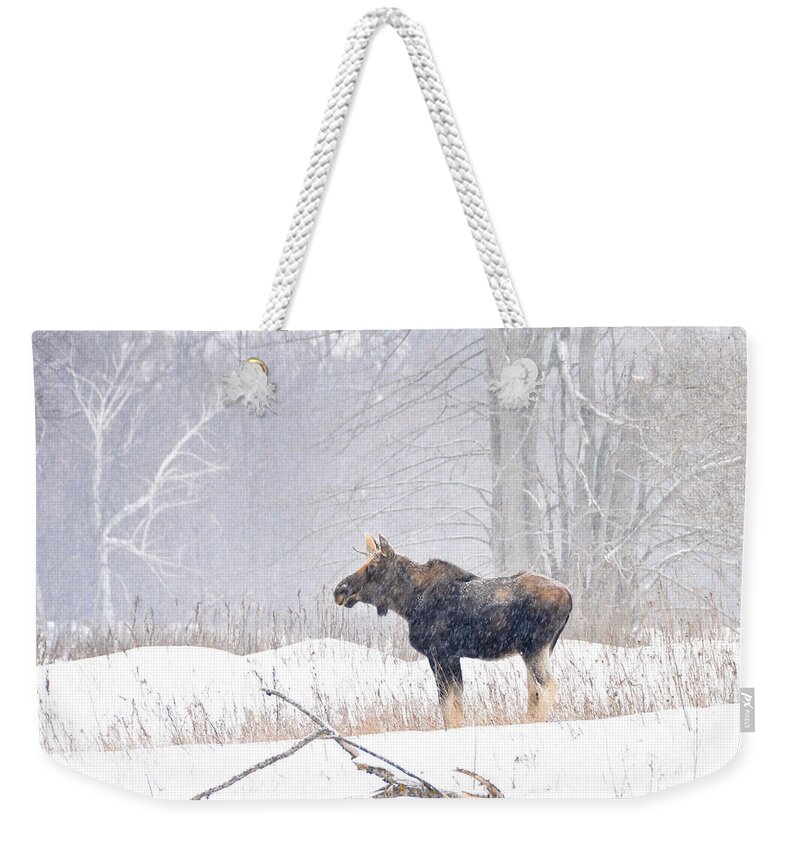Moose Weekender Tote Bag featuring the photograph Canadian Winter by Cheryl Baxter